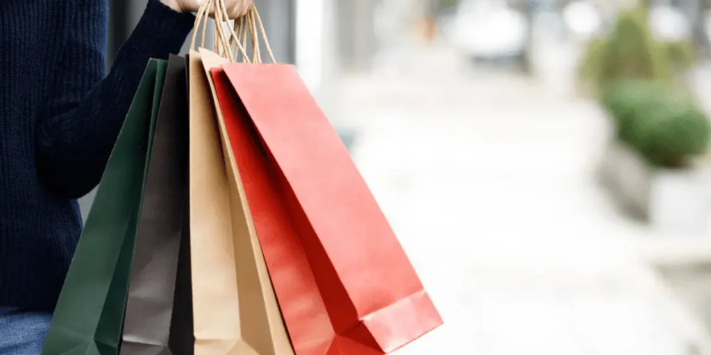 person holding shopping bags