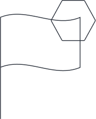 Media Vector